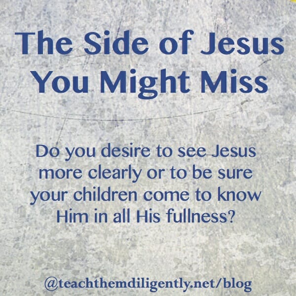 The Side of Jesus You Might Miss