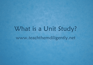 What is a Unit Study?