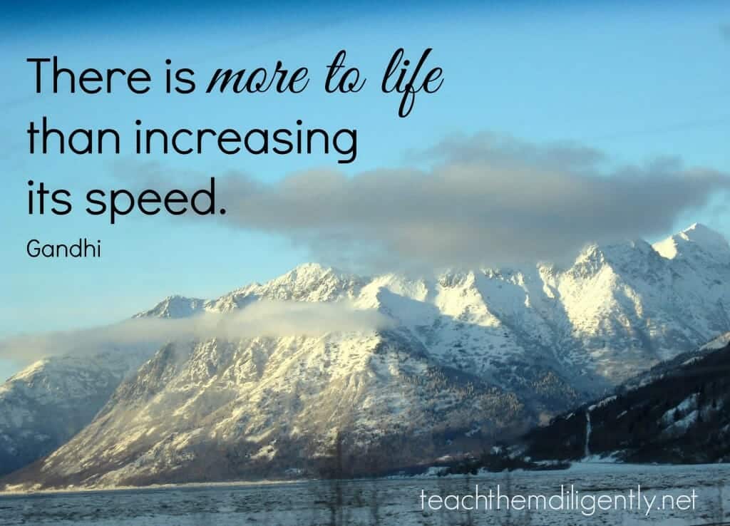 More to Life @teachthemdiligently.net