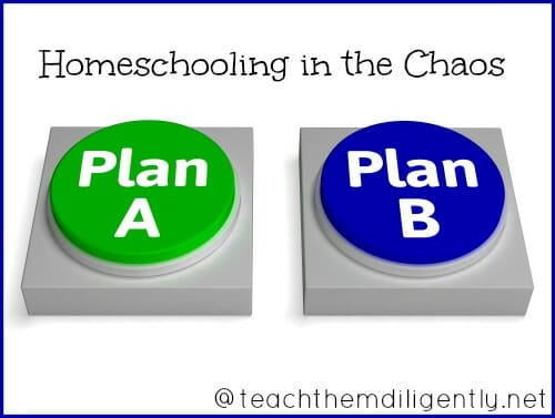 Homeschooling in the Chaos
